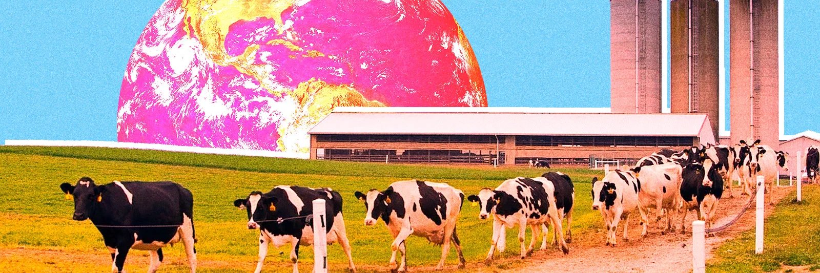 dairy-truth-world-s-top-dairy-twitter