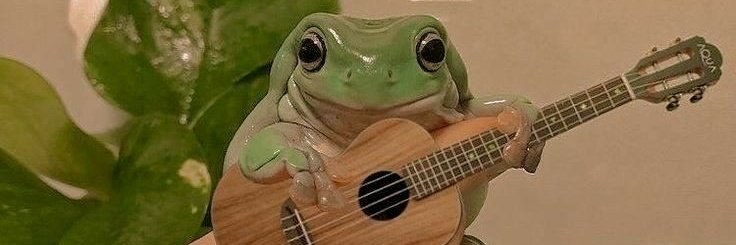 @frog_asya/Мої жабики💕💕 / Twitter