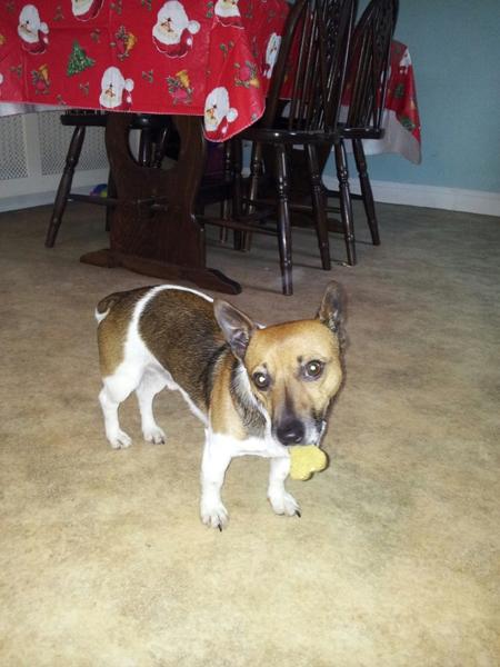 Jako Crowe tweet media