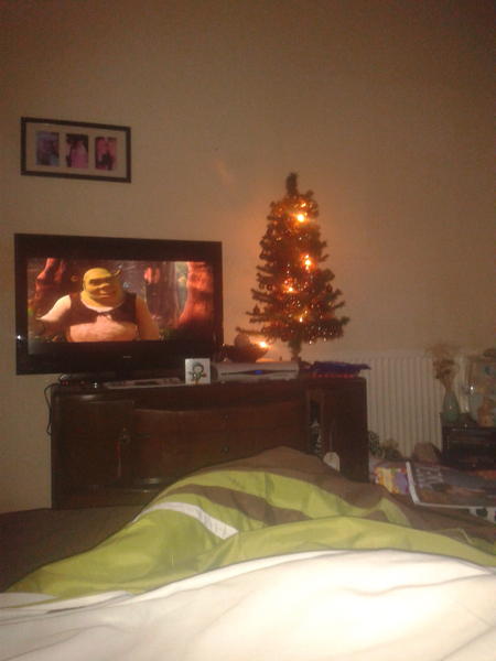 snug in bed! #newtelly