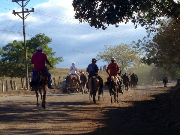 James Rosenberg tweet media