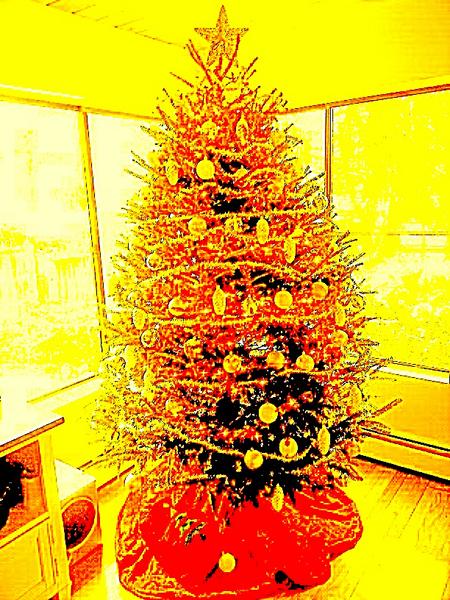 TOGSQUASH's tweet photo. Merry Christmas from TOG! http://t.co/0gFBcXxi