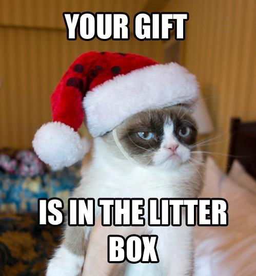 TardGrumpyCat's tweet image. Merry Christmas- Your gift is in the litter box...
