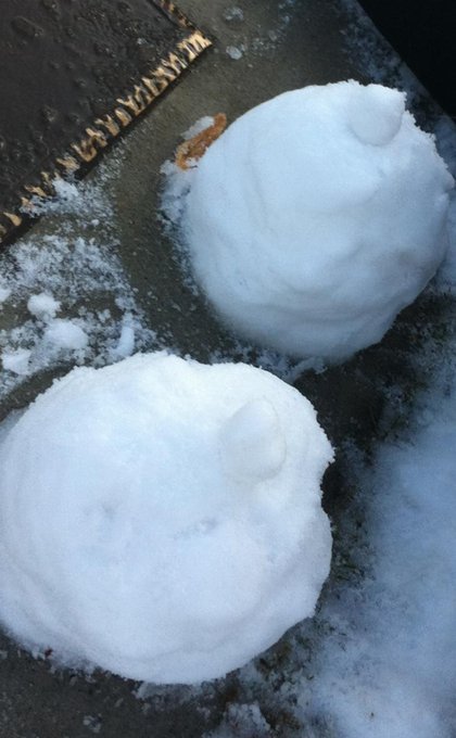 Here's my snow ball boobies!! I tried to make them perfect, guess when u think about it no fakes are