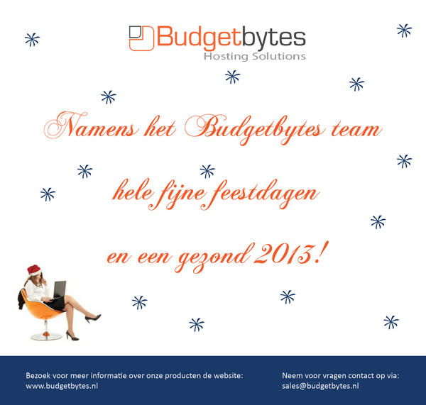Budgetbytes's tweet photo. Budgetbytes wens iedereen fijne feestdagen toe en een fantastisch 2013! http://t.co/TEmCm8K4