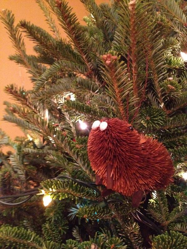modernbeaver's tweet photo. Merry Christmas, beavers!! http://t.co/6UjcLnZ2