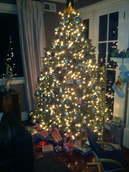 CarlHagelin's tweet image. God Jul till alla mina svenska följare!!