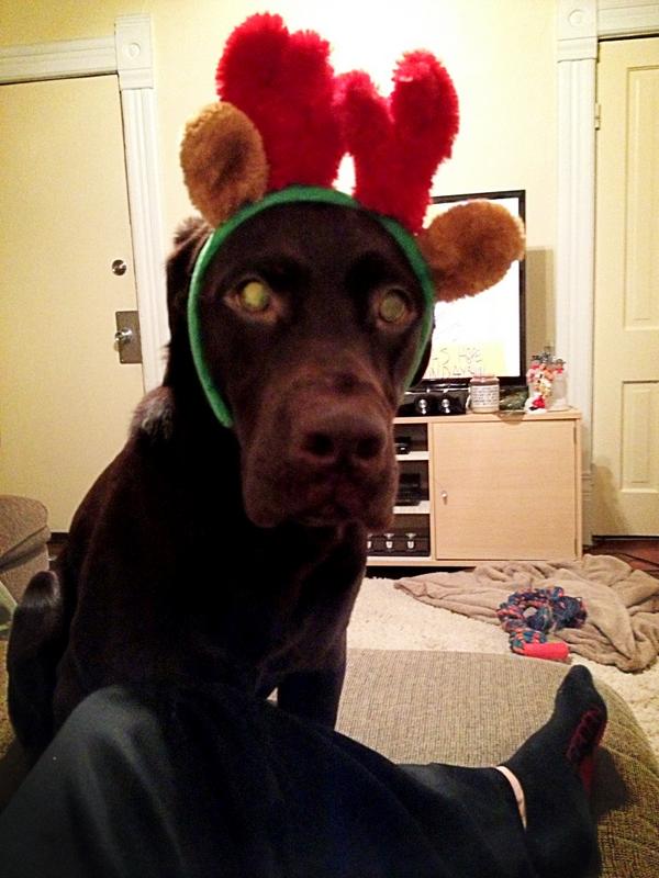 hangalstad's tweet image. Christmas movies with my little reindeer. #firstchristmas #mybaby #snugglesession