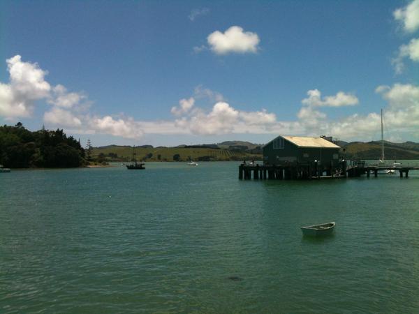 irenewandotcom's tweet photo. Merry Christmas from Monganui ;) http://t.co/Yx6M0aFf
