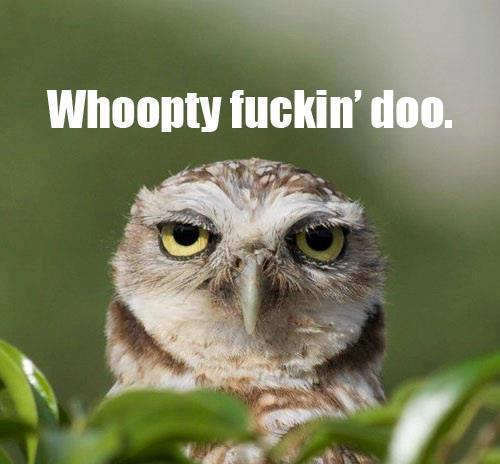 Jako Crowe tweet media