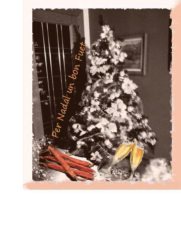 EMBOTITS TAGA US DESITJA MOLT BON NADAL