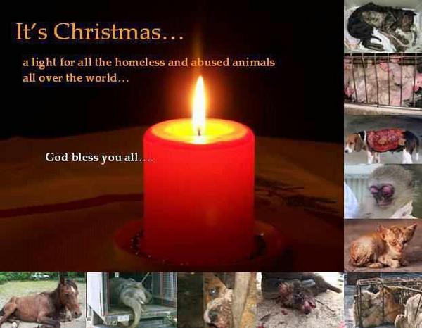 devils8383's tweet image. 