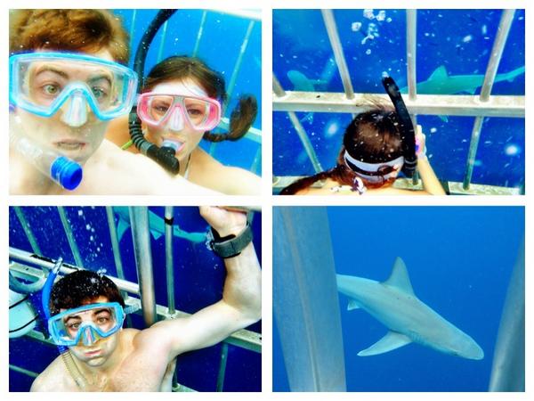 Kibbe Jones tweet media