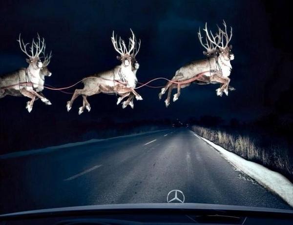 KentPoliceRoads's tweet photo. PS. One of night duty video cars just picked this up #MerryChristmas http://t.co/1Sy5AhF5