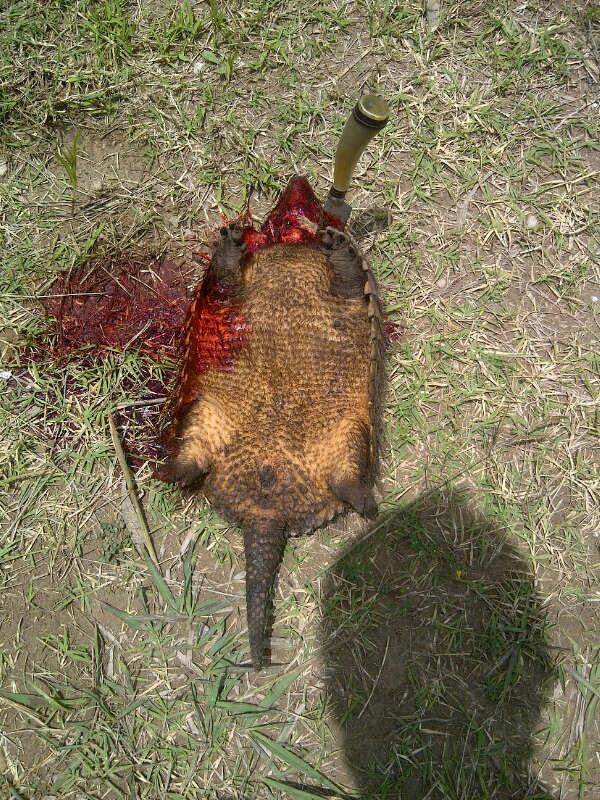 Le gusto a tu viejo? <a href="/cyeffal/">carlos yeffal</a>