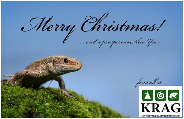 MERRY CHRISTMAS FROM KENT REPTILE AND AMPHIBIAN GROUP! :-)

@ARGroupsUK <a href="/GlosARG/">Gloucestershire ARG</a> <a href="/ARC_Bytes/">Amphibian and Reptile Conservation</a> <a href="/GwentARG/">Gwent ARG</a> <a href="/EssexARG/">EARG</a>