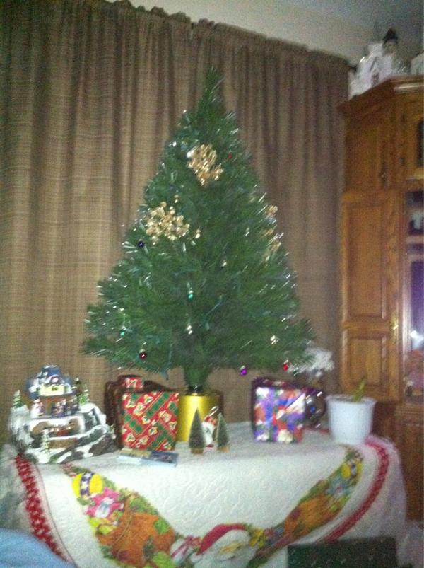 jaimee_lo1's tweet image. Will Santa still come if I sleep THIS close to the tree? #couchbound #midgettree
