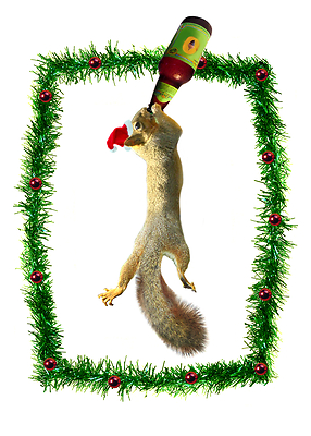 SquirrelSez's tweet photo. Merry Christmas &amp; Happy Holidays to all of my critter &amp; human friends.  Slow down, enjoy life &amp; have a little fun! http://t.co/Yxmdf3yJ