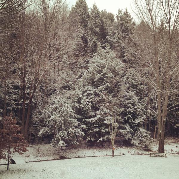 White Christmas upstate NY style... Merry Christmas