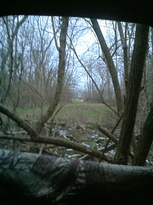 tim_angle's tweet image. A great view from the blind.
