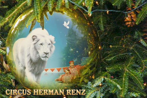 Het gehele team van Nederlands Nationaal #Circus Herman Renz wenst iedereen prettige #kerstdagen toe!