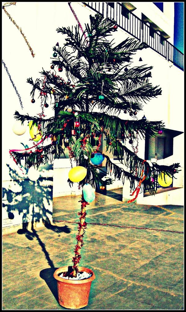 DsouzaJennifer's tweet image. @burrp_mumbai #bContest My Christmas Tree! :)
