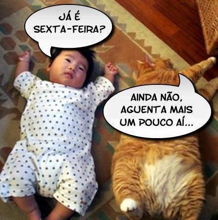 JCesareAdriano's tweet image. Boa tardee Twitteiros de plantão! #rcf #vaigatinha #coracaosoquervoce