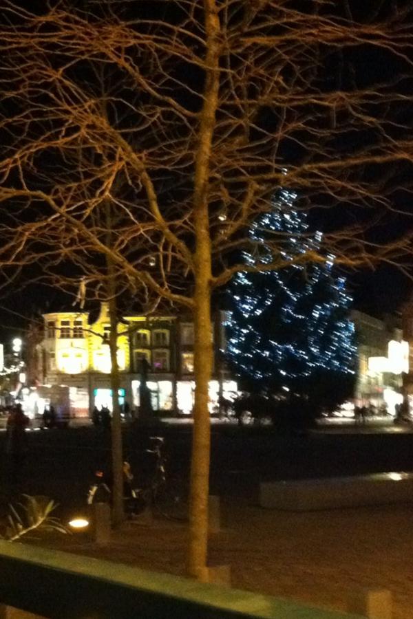 Mightyleaf-tea.com tweet media