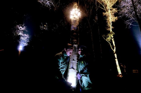 This weekend is also the last chance to listen in on the whisperings of #Thetford Forest's trees! #Suffolk #Norfolk