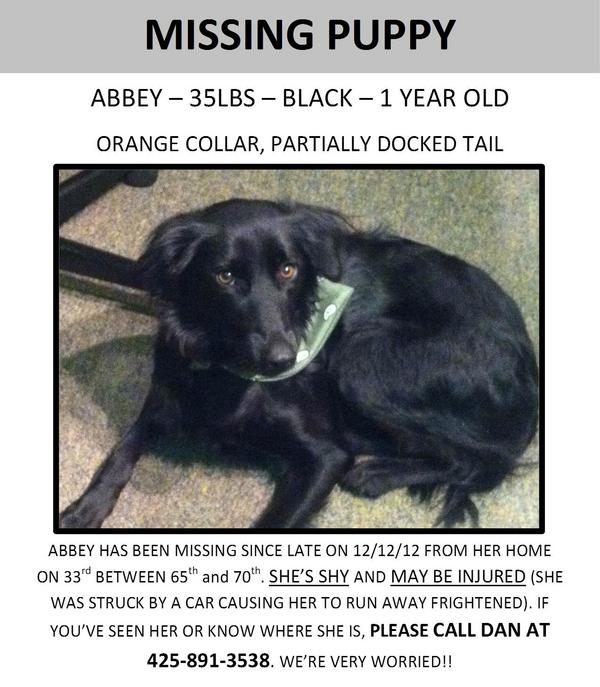JaclynA's tweet photo. @EBGreenLake Here's a flyer for Abbey, our missing rescue dog! Please retweet! We're scared that she's hurt and alone! http://t.co/q8A89jJA