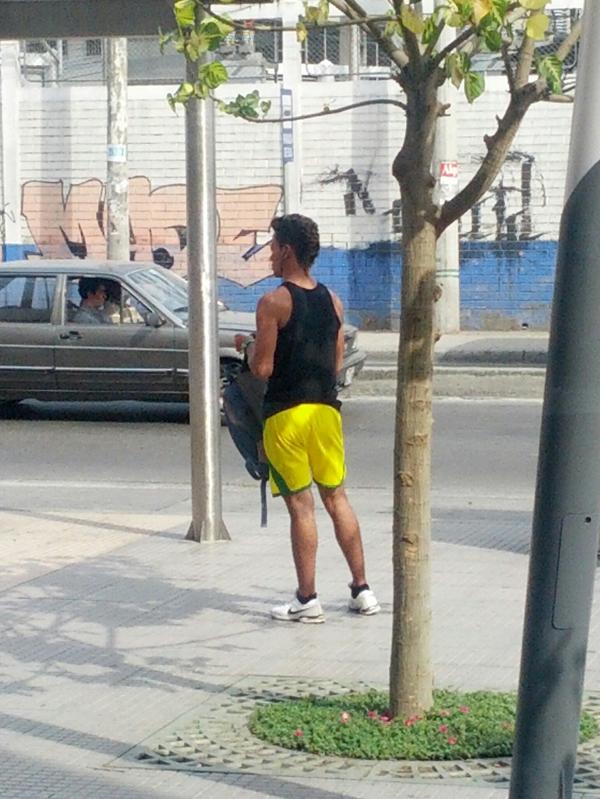 Enlace permanente de imagen incrustada