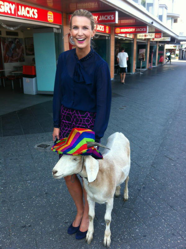 LauraTunstall9's tweet image. Tonight on #ACurrentAffair - my exclusive interview with Gary the Goat who's currently embroiled in scandal #ACA