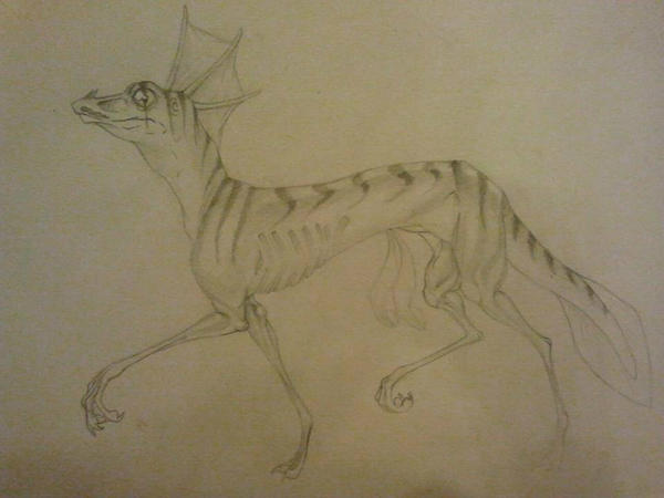 MichaelaElse's tweet image. A sketch of my new species - Amphistile 

These might make an appearance in one of my literary works,.