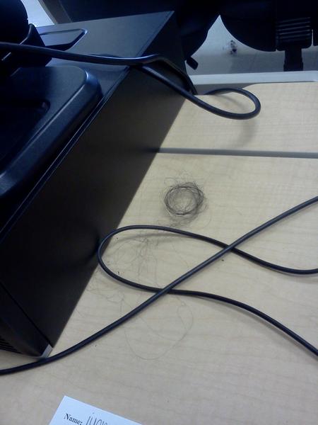 King Jandro tweet media