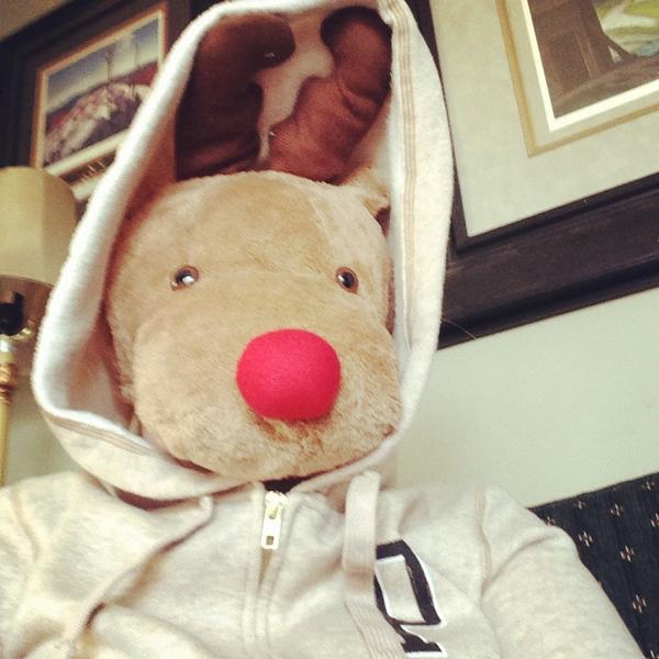 Pale_Elephant's tweet image. Brother: &quot;ok. You look like a real reindeer and its actually kinda freaking me out...&quot; #reindeerproblems #blitzen