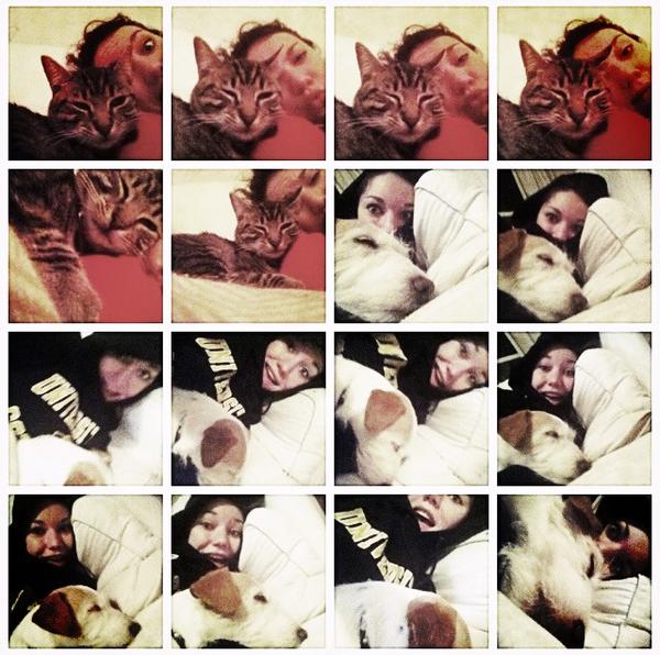 hannaswagtime's tweet image. BECAUSE MY ONLY FRIENDS ARE ANIMALS NOW. #miltonproblems