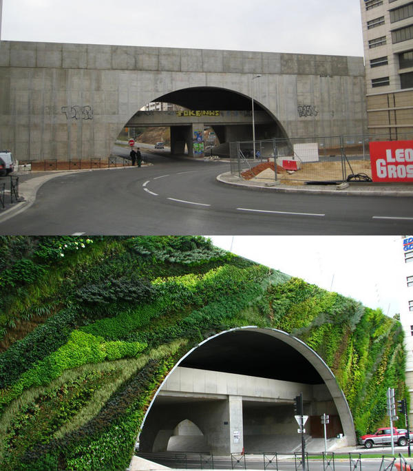 Loku's tweet photo. A city wall turned into a vertical garden. http://t.co/VzKtTHrm