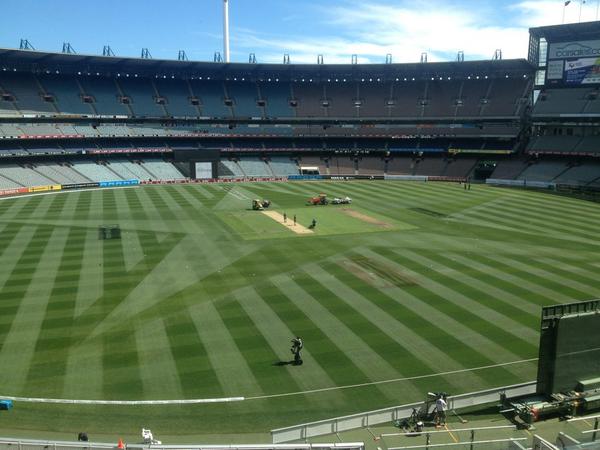 Melbourne Stars tweet media