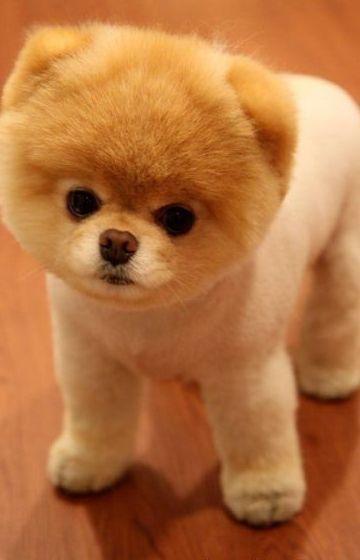 TienerStrips's tweet photo. Retweet = cute - http://t.co/z7qJeAVk