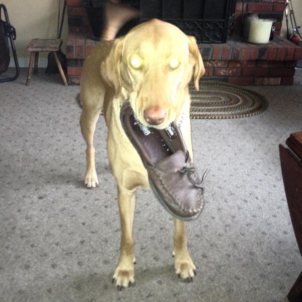 JennieRyi's tweet image. Stopppp stealing my shoes! 
#ToEarlyForThis