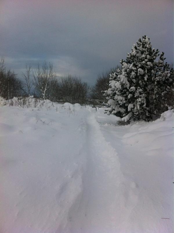 _1Dnorway's tweet photo. Holy❄ http://t.co/BgykWInC