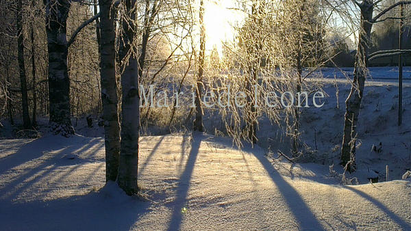 MariedeLeone's tweet photo. Lovely - 19 degrees, puurrr. Summer where are you ? http://t.co/myitPV8j