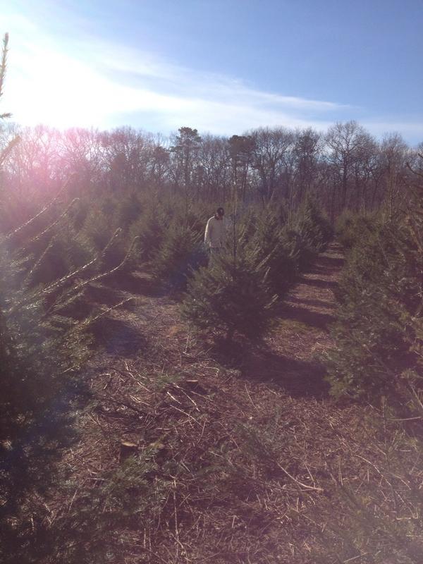 carolynachman's tweet image. Spotted: @AlanHNachman tweeting between the trees. #Snagged