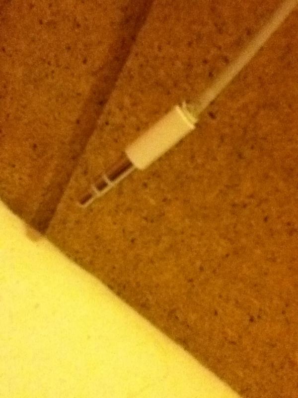 kellysuzzane's tweet image. I don't even know why