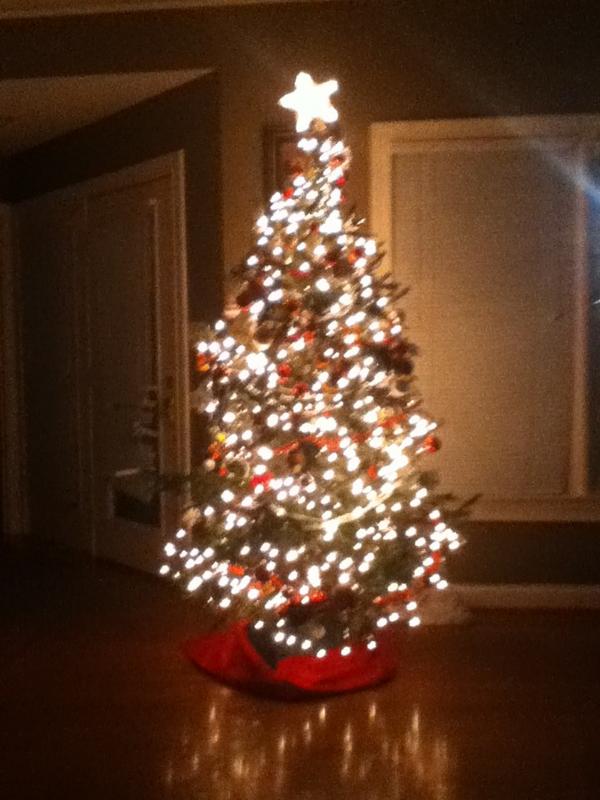 This is our smallest Xmas tree ever.