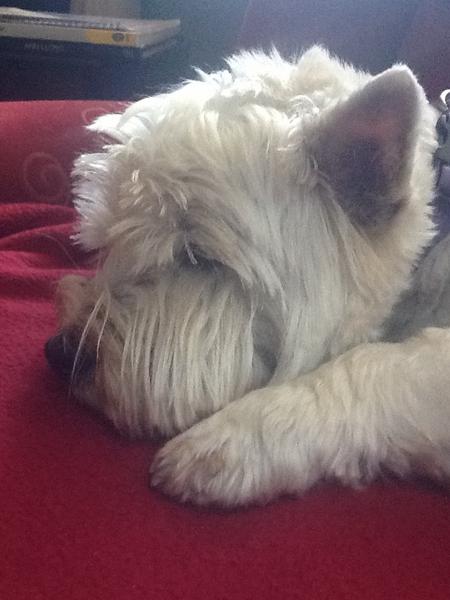 nitesongs's tweet photo. Shut in away from the heat.  Not enjoying Summer one bit! http://t.co/QF6ngxFm