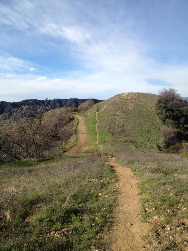 the_cait_update's tweet image. “@UCLAXC: Beautiful December afternoon in the Santa Monica Mts! #trailsfordays http://t.co/Fwc1t4I2” #missingLA