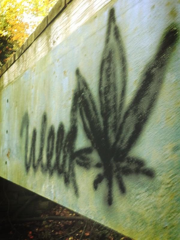 alligator491's tweet image. 