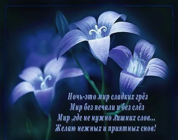 Открытки доброй ночи любимая в стихах красивые