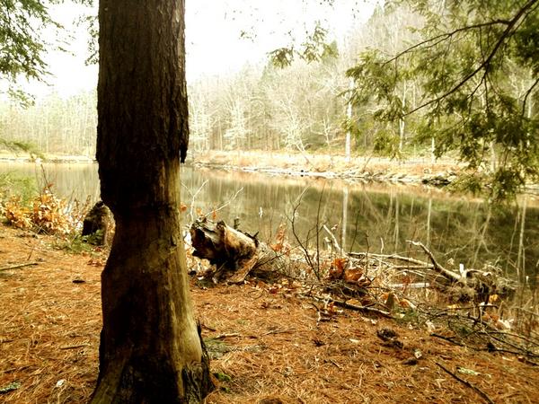 FarmyAnglers tweet picture